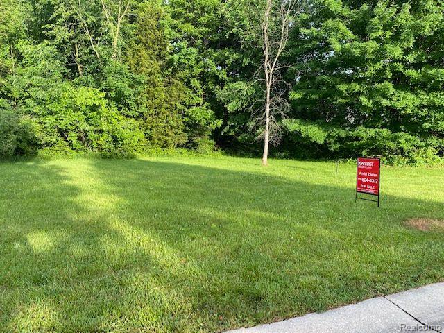 667 BENDING BROOK Drive, Flushing, MI 48433 — Photo 3