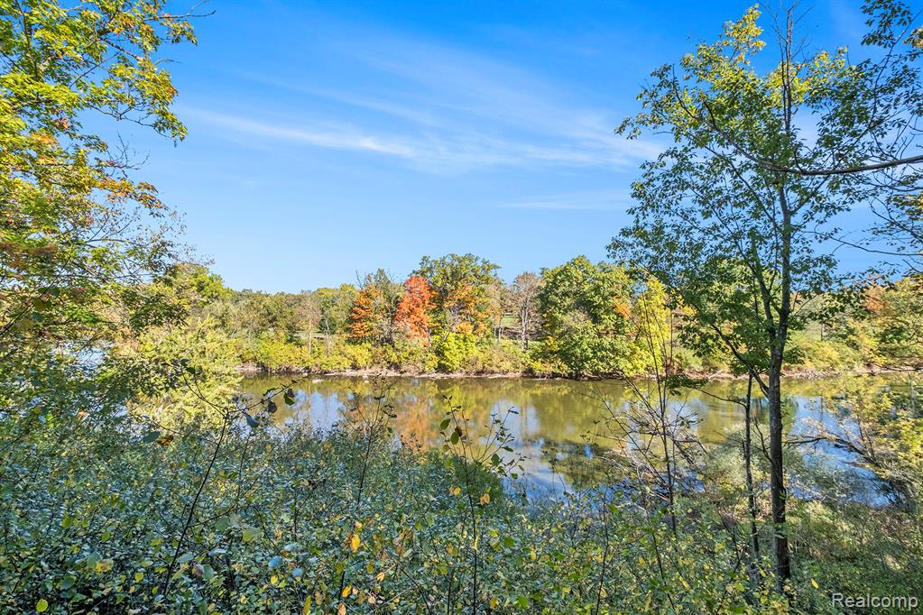 7372 River Road, Flushing, MI 48433 — Photo 26