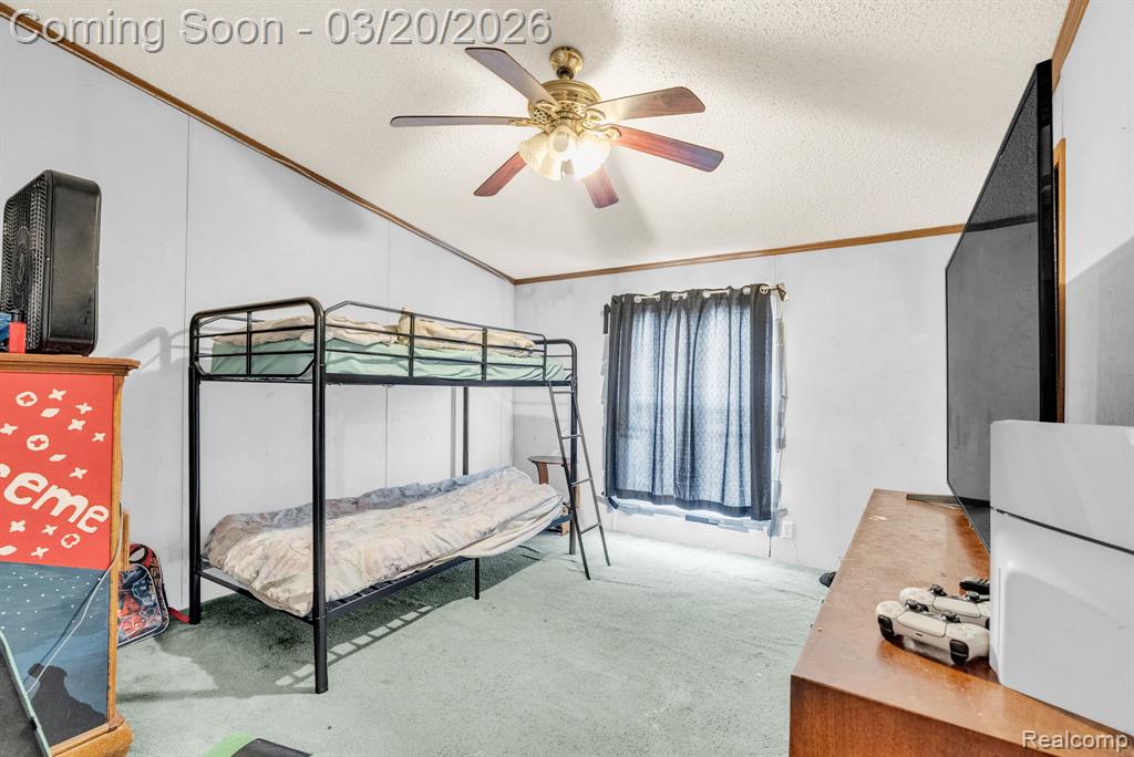7151 Martin Road, Imlay City, MI 48444 — Photo 20