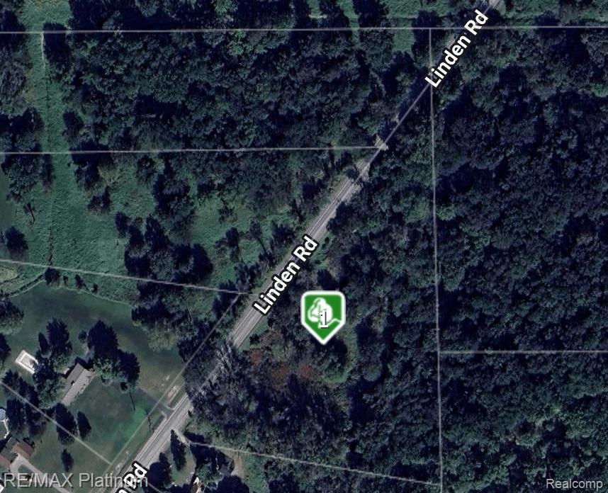 South of 12111 Linden Rd Linden Road, Linden, MI 48451 — Photo 12