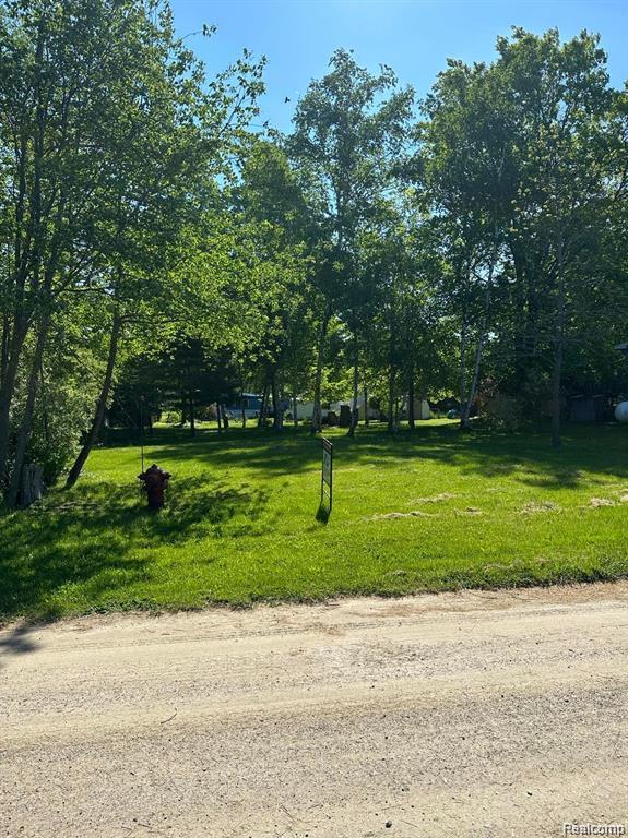 7365 Lighthouse Road, MI — Photo 11
