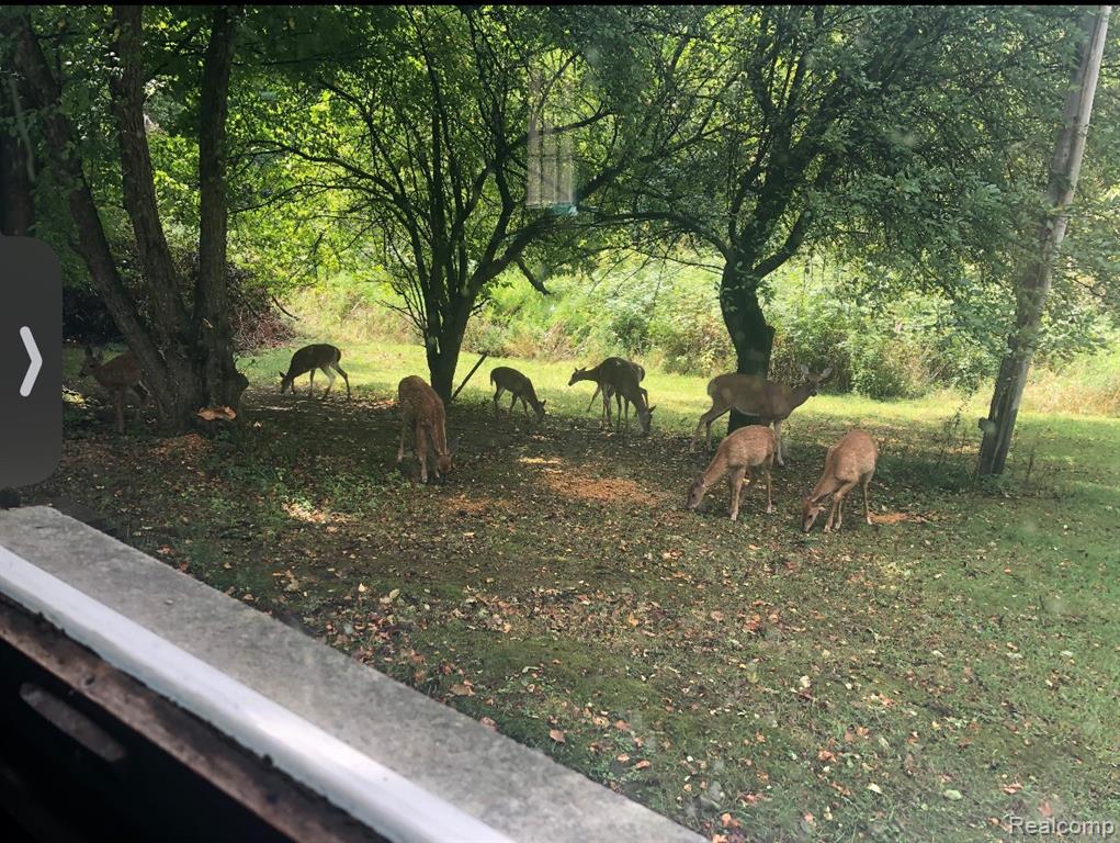 5836 Ewalt Road, Imlay City, MI 48444 — Photo 21