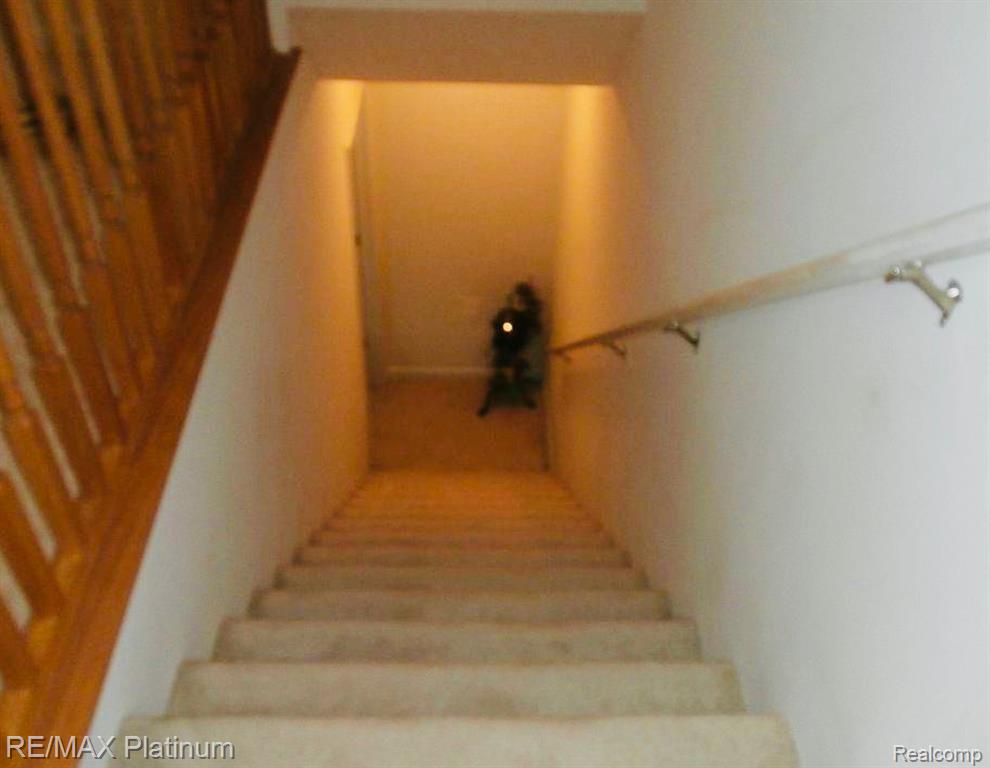 707 Glenlivet Street, Howell, MI 48843 — Photo 23