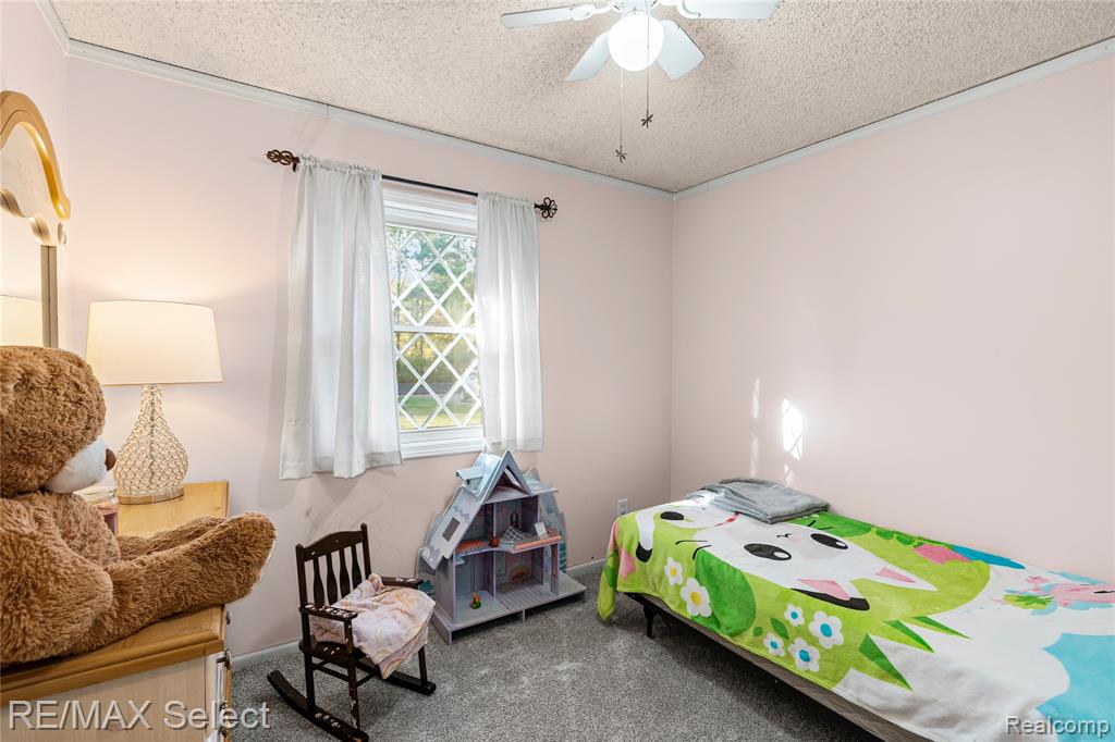 6393 Frances Road E, Mount Morris, MI 48458 — Photo 20