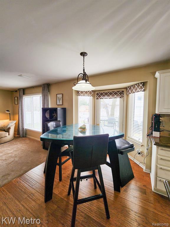 47037 REENE Drive, Belleville, MI 48111 — Photo 21