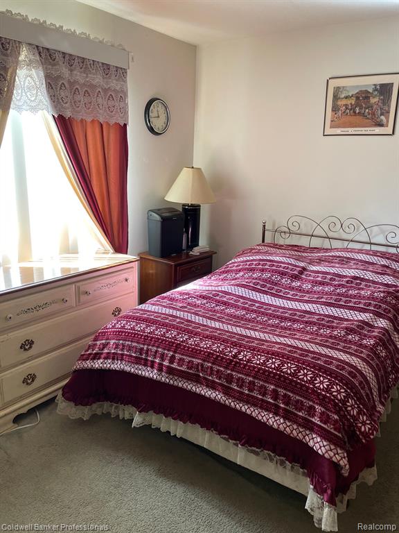 46067 TALLGRASS, Belleville, MI 48111 — Photo 5