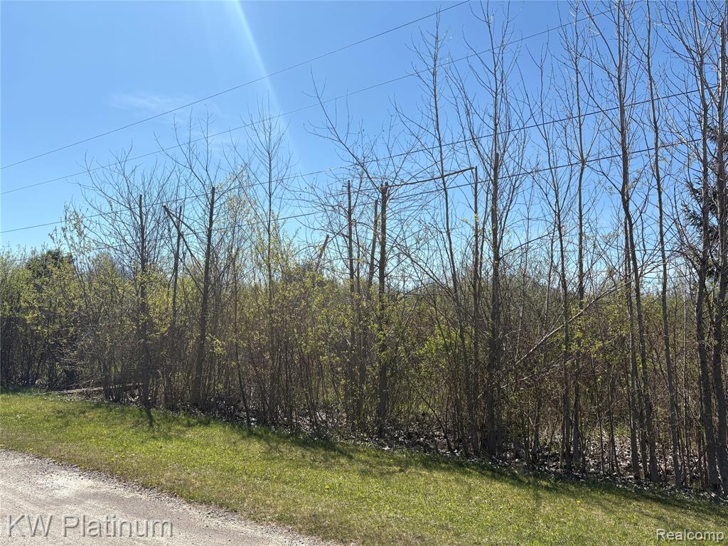 Parcel D Wicha Drive, Burtchville, MI 48059 — Photo 14