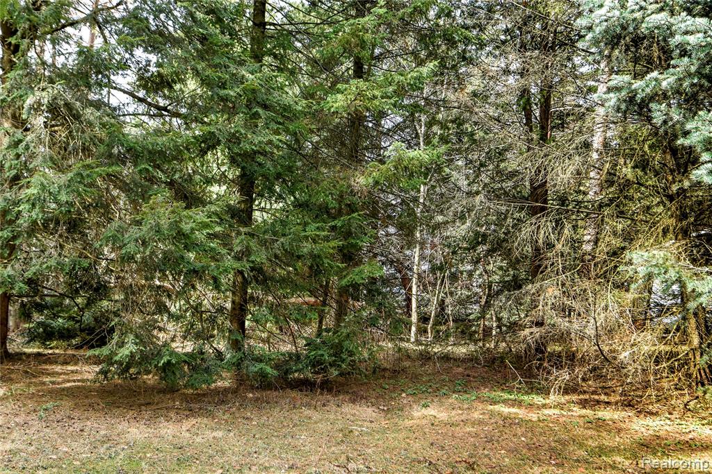 Lot 64 Merry Road, Waterford, MI 48328 — Photo 24