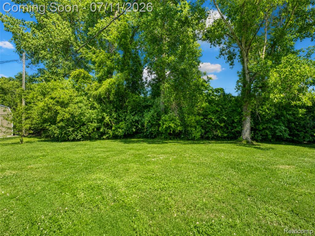 13129 Evelyn Court, Belleville, MI 48111 — Photo 27