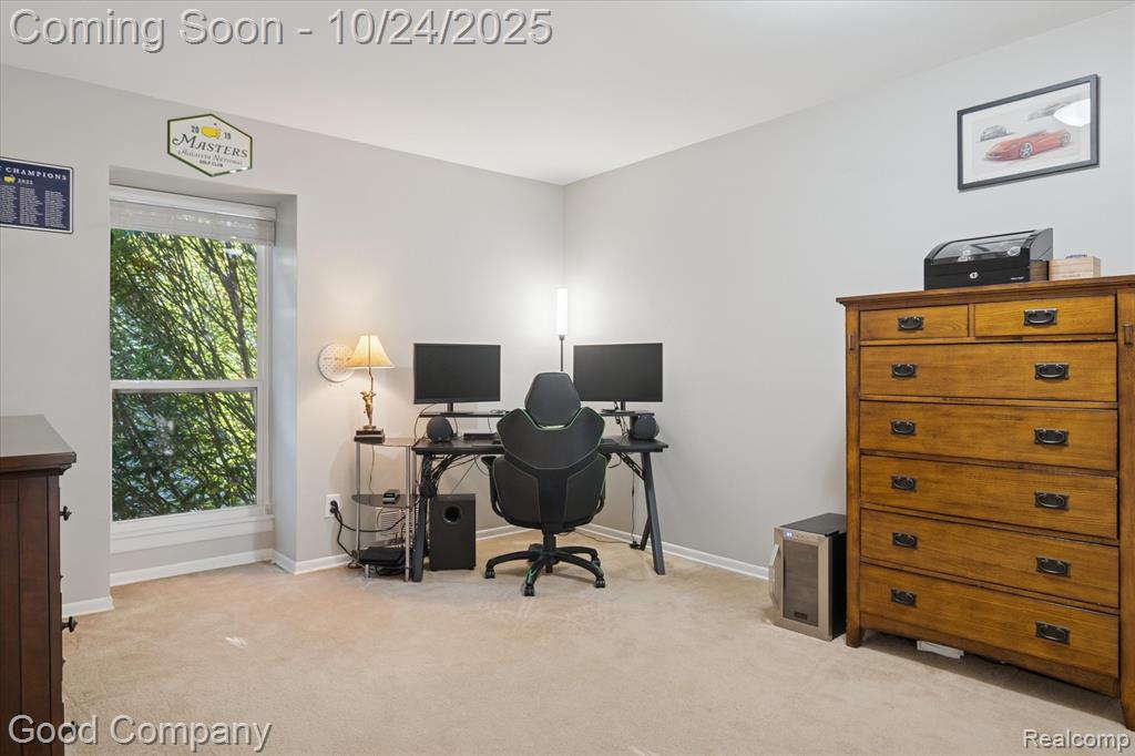 745 Randolph Street, 223, Northville, MI 48167 — Photo 19