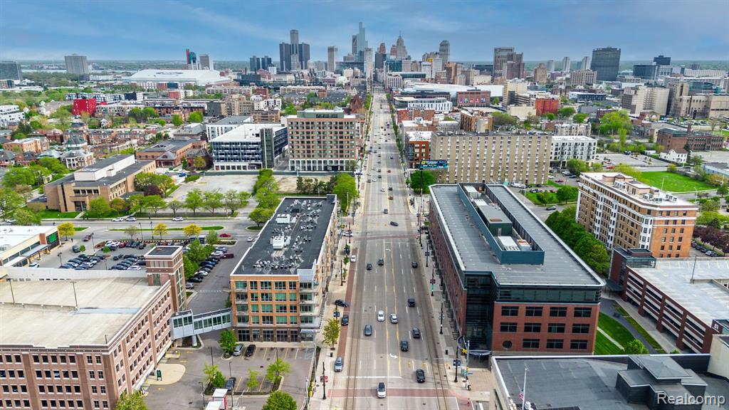 3670 UNIT 412 WOODWARD Avenue, Detroit, MI 48201 — Photo 6