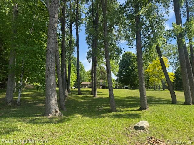 1702 Birch Road, Attica, MI 48412 — Photo 21