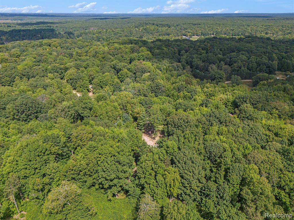 4977 E Buck Rub Road, Custer, MI 49405 — Photo 33