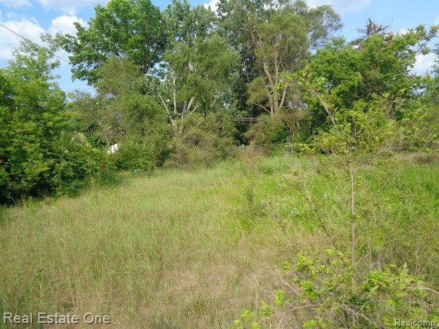 14852 WYOMING Street, Detroit, MI 48238 — Photo 4