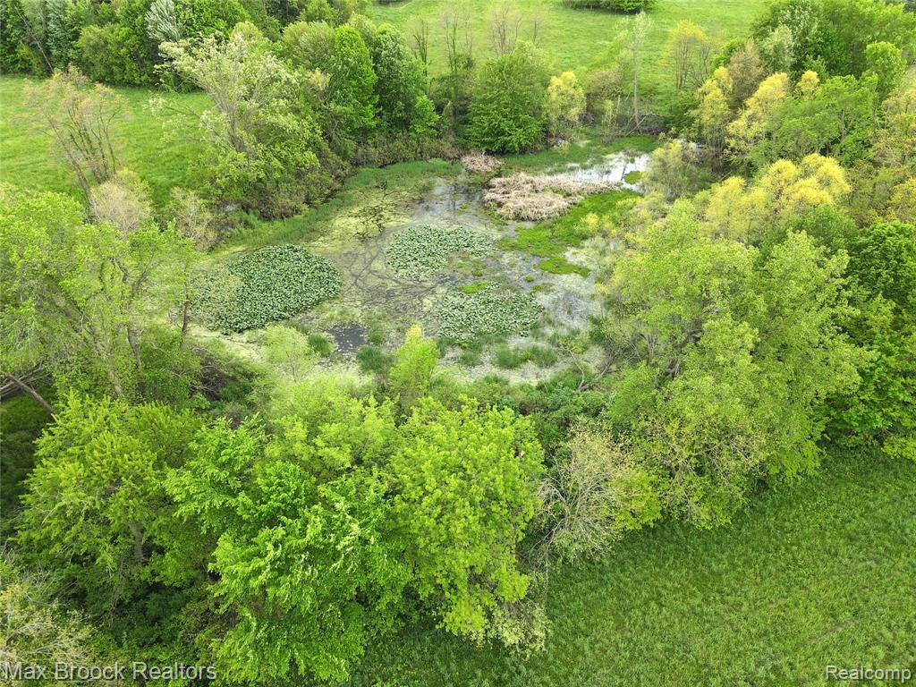 58282 SAVAGE Road, Vandalia, MI 49095 — Photo 6