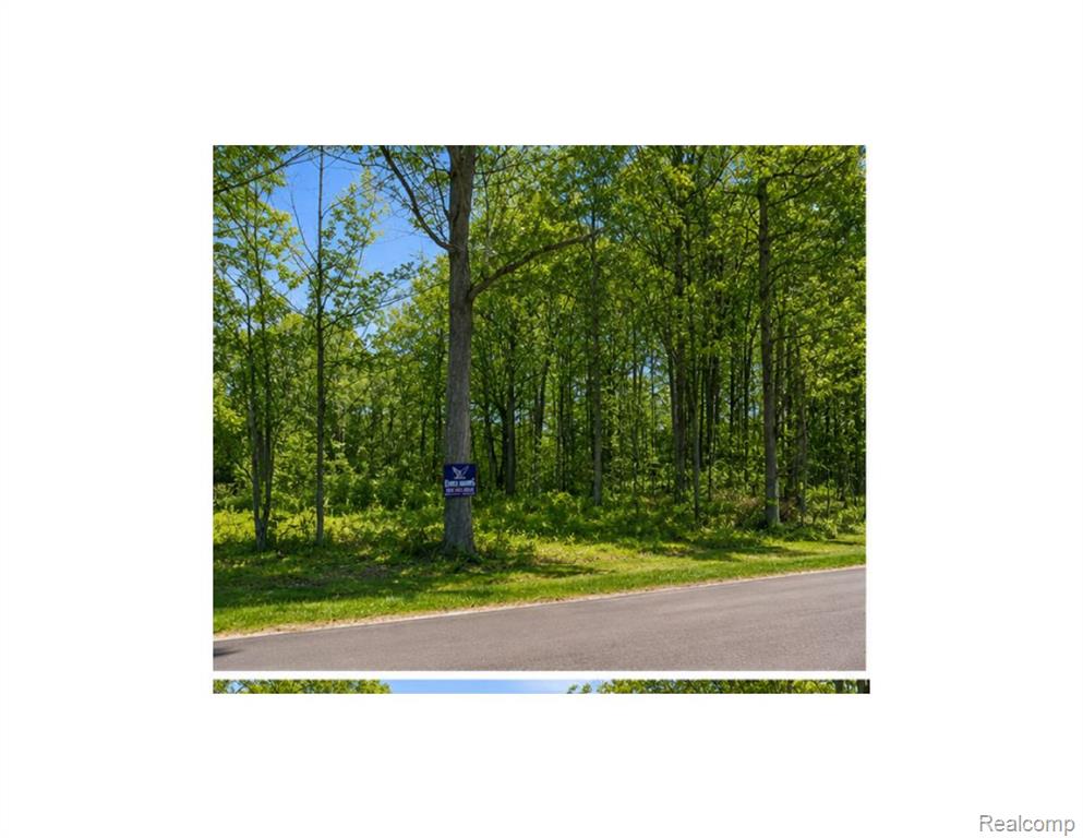 4171 BELLE RIDGE Drive, Dryden, MI 48428 — Photo 4