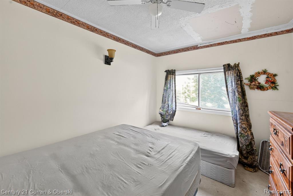 10 S Imperial Drive, MI 48763 — Photo 14