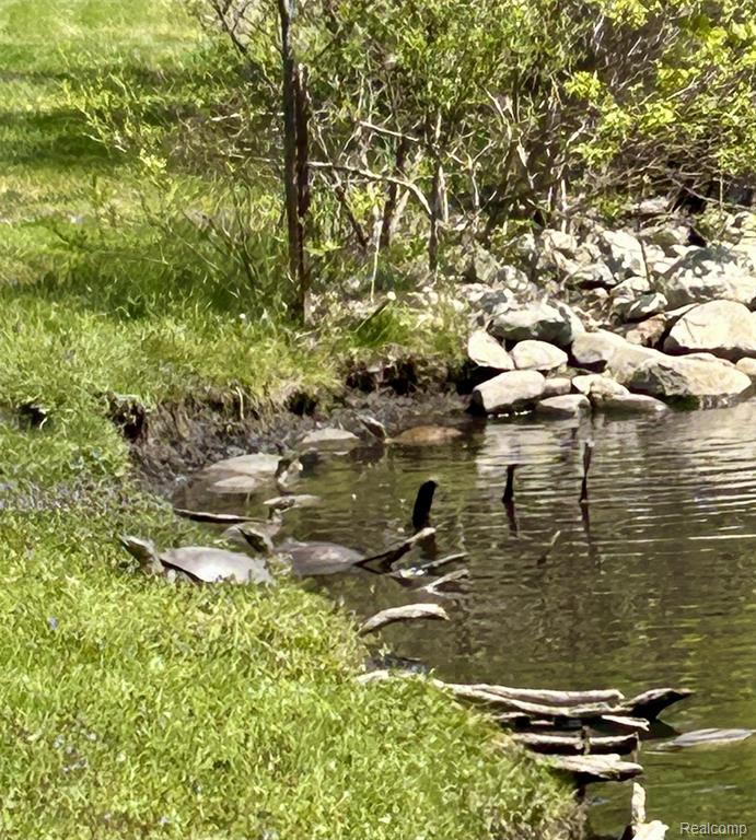 9831 Kress Road, Pinckney, MI 48169 — Photo 35