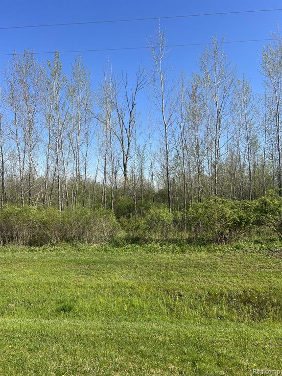 VL Turtle Lake Road, North Branch, MI 48461 — Photo 2