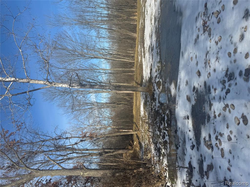 14329 Linder Drive, Holly, MI 48442 — Photo 2
