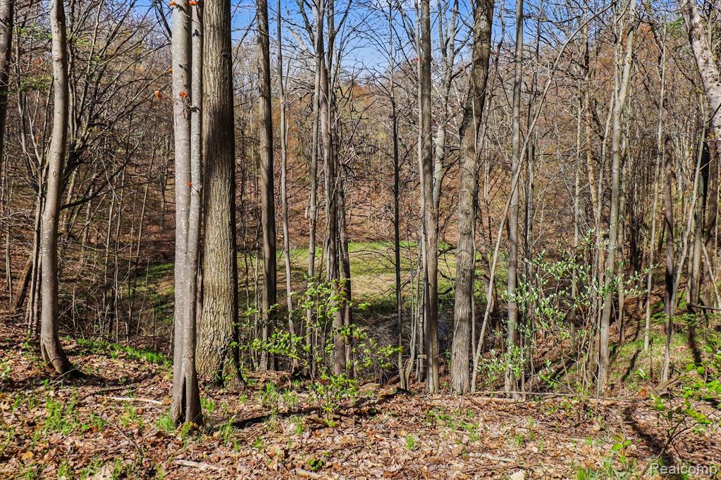 8815 Milford Road, Holly, MI 48442 — Photo 13