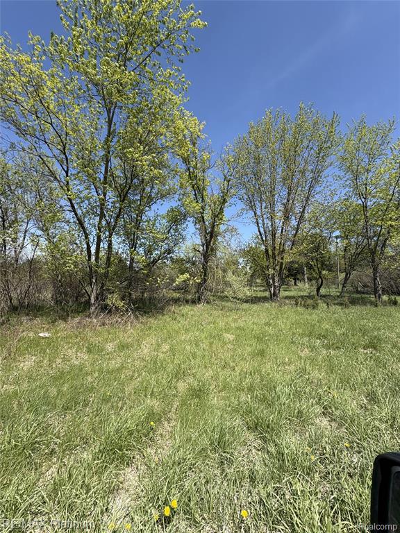 Parcel 6 Fisher Road, Howell, MI 48855 — Photo 3
