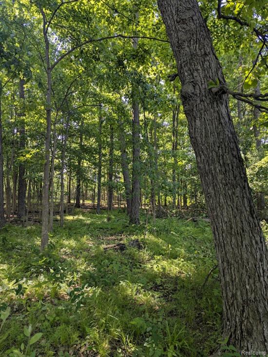 Parcel A - Rolston Road, Linden, MI 48451 — Photo 18
