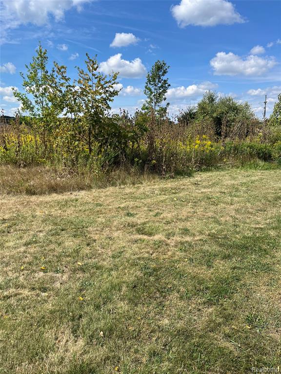 Vacant Land Grand River Avenue, Handy, MI 48836 — Photo 3