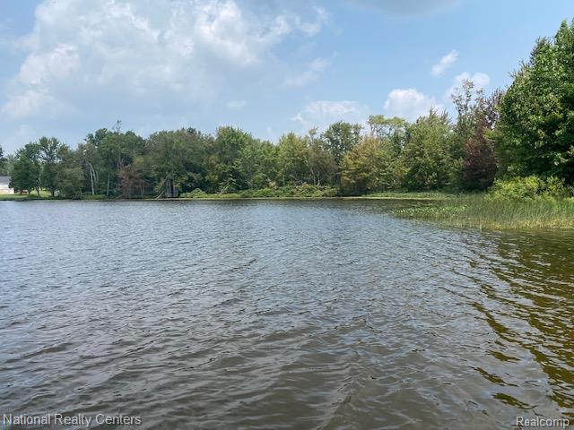 12047 Shenandoah Drive, 2, South Lyon, MI 48178 — Photo 61