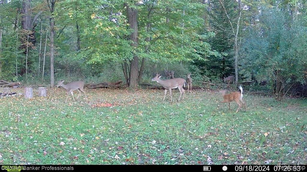VL Rattle Run Road, St. Clair, MI 48079 — Photo 30