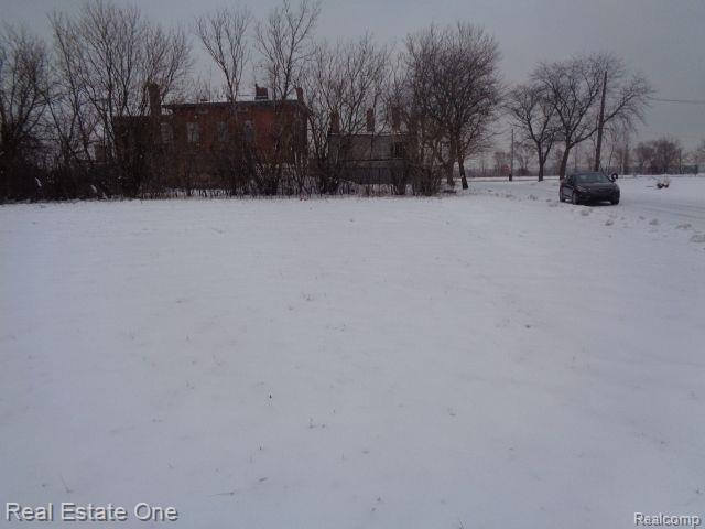 446 CONCORD Street, Detroit, MI 48207 — Photo 3
