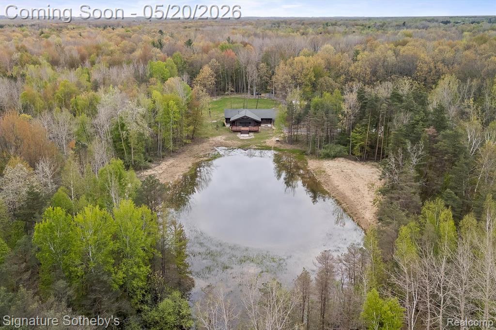 2631 W Blackmore Road, Mayville Vlg, MI 48744 — Photo 41