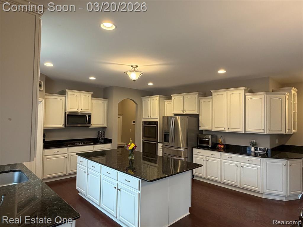 58206 Sunflower Circle N, New Hudson, MI 48165 — Photo 6