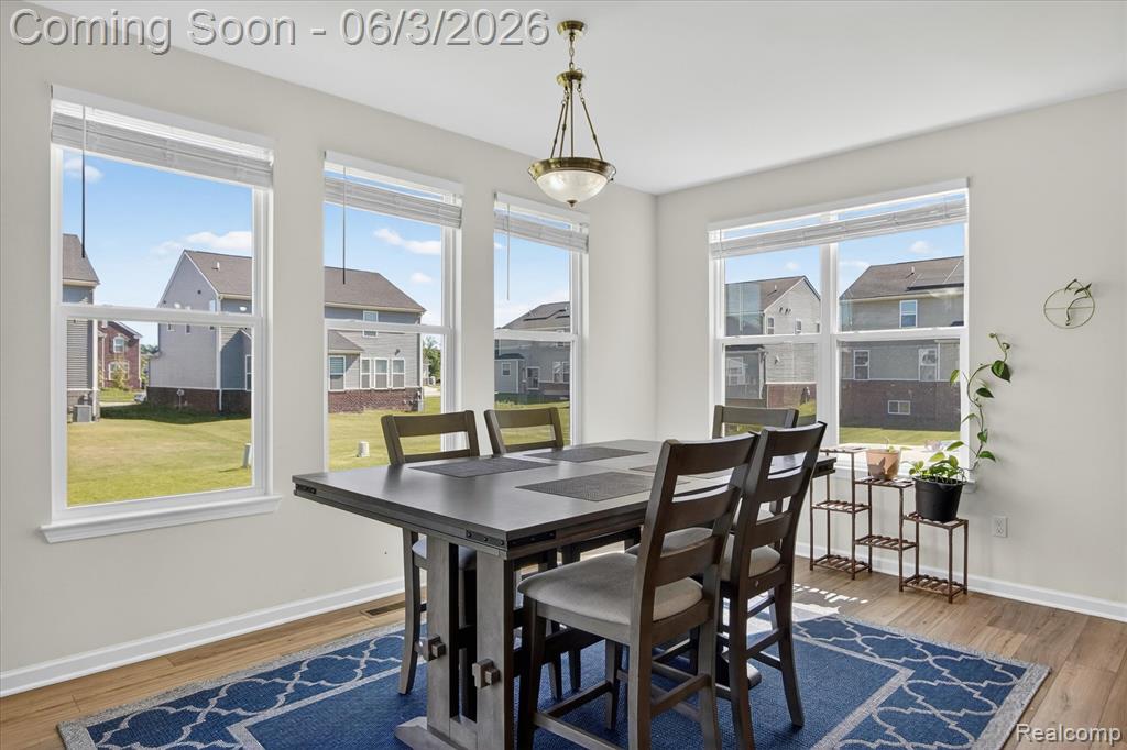 58676 Losino Drive, South Lyon, MI 48178 — Photo 13