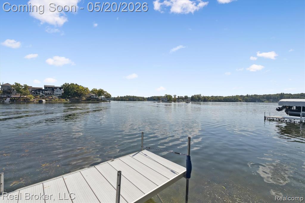 16295 Whitehead Drive, Linden, MI 48451 — Photo 52