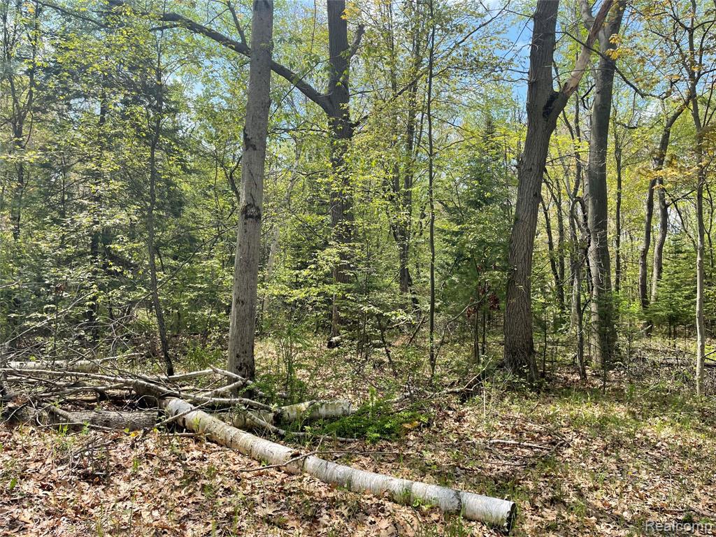 NA Oakridge Drive, Au Gres, MI 48703 — Photo 8