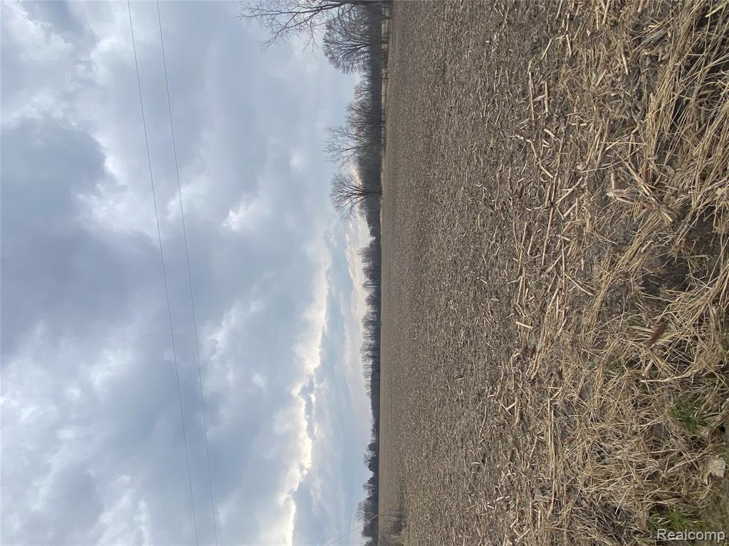 Parcel 1 Tubspring Road, Capac, MI 48002 — Photo 2