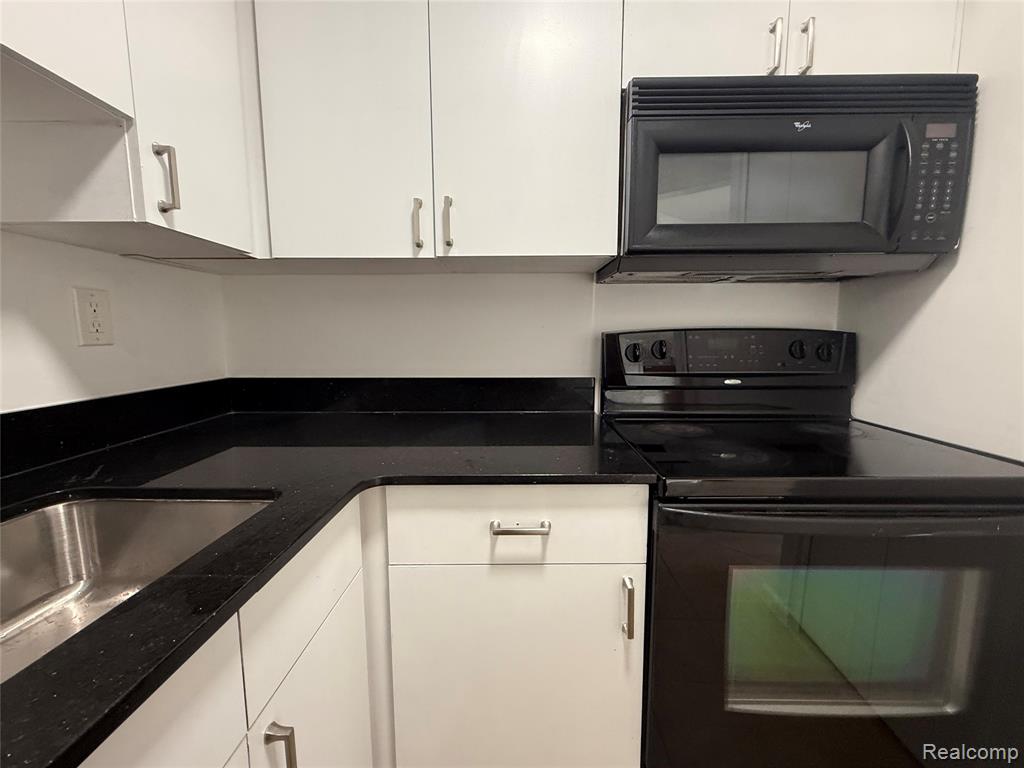 1001 W Jefferson, 17G, Detroit, MI 48226 — Photo 8