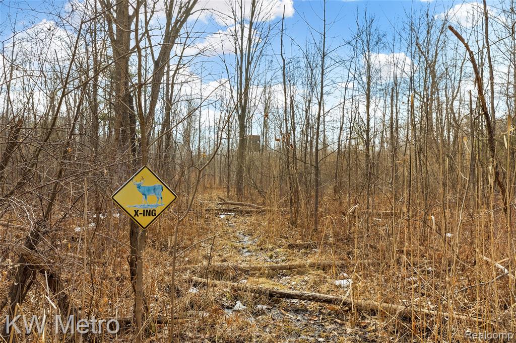 8665 Meskill Road, Columbus, MI — Photo 48