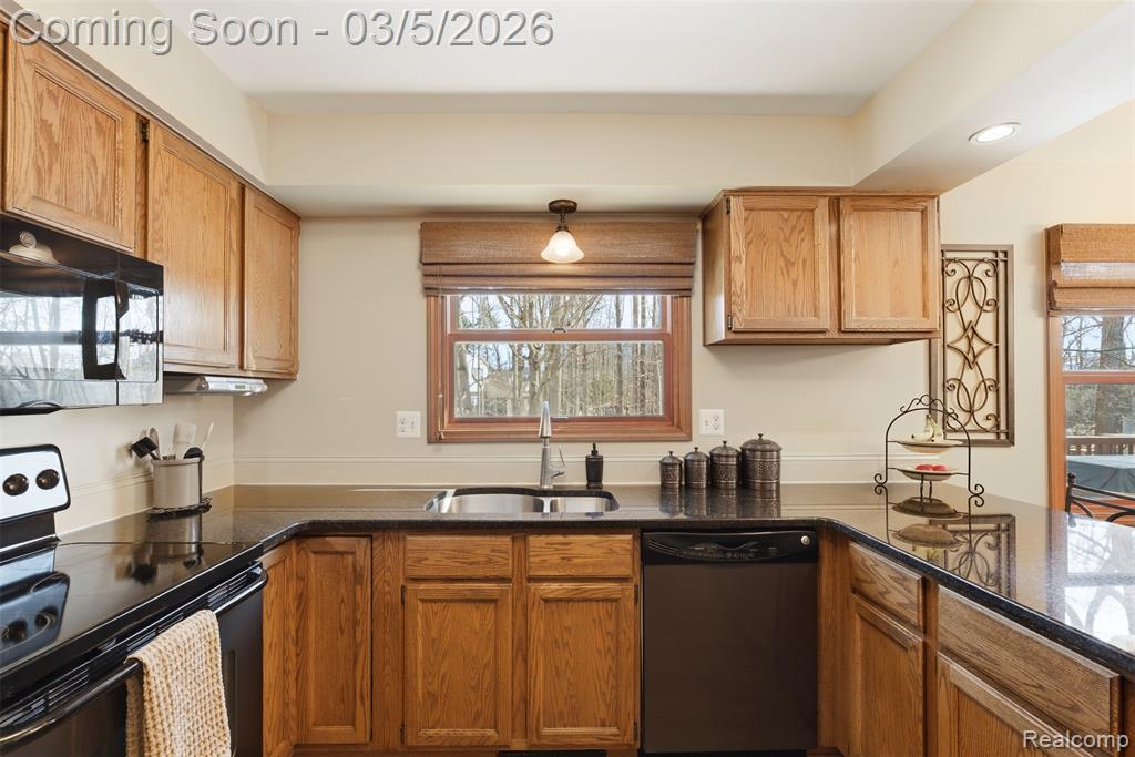 15948 Park Lane, Northville, MI 48168 — Photo 12