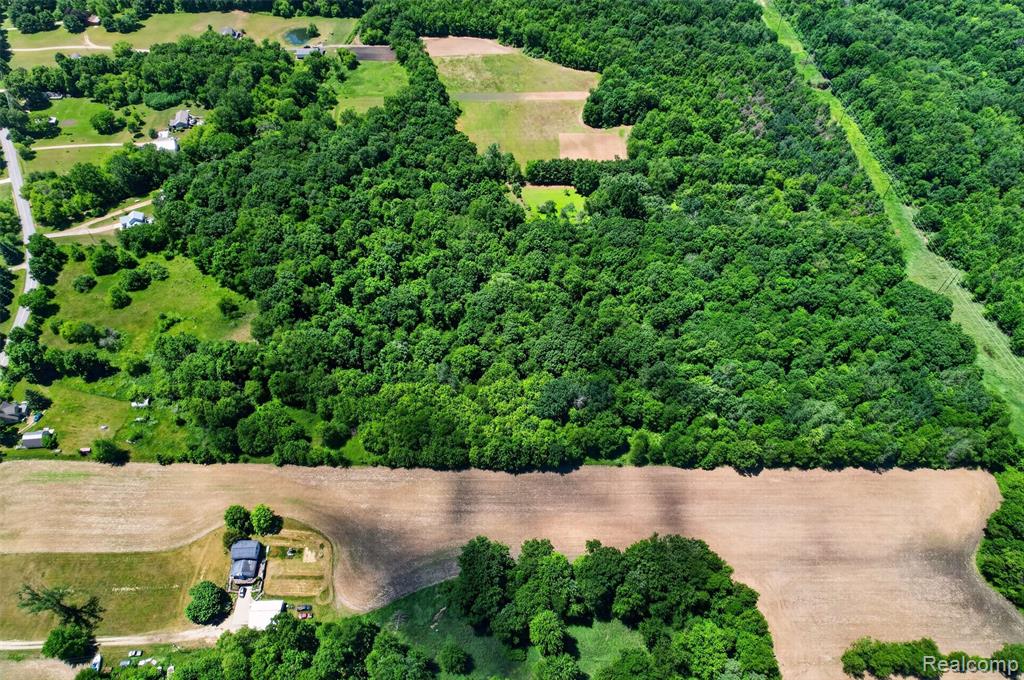 V1 Murray Road, Dansville, MI 48819 — Photo 7