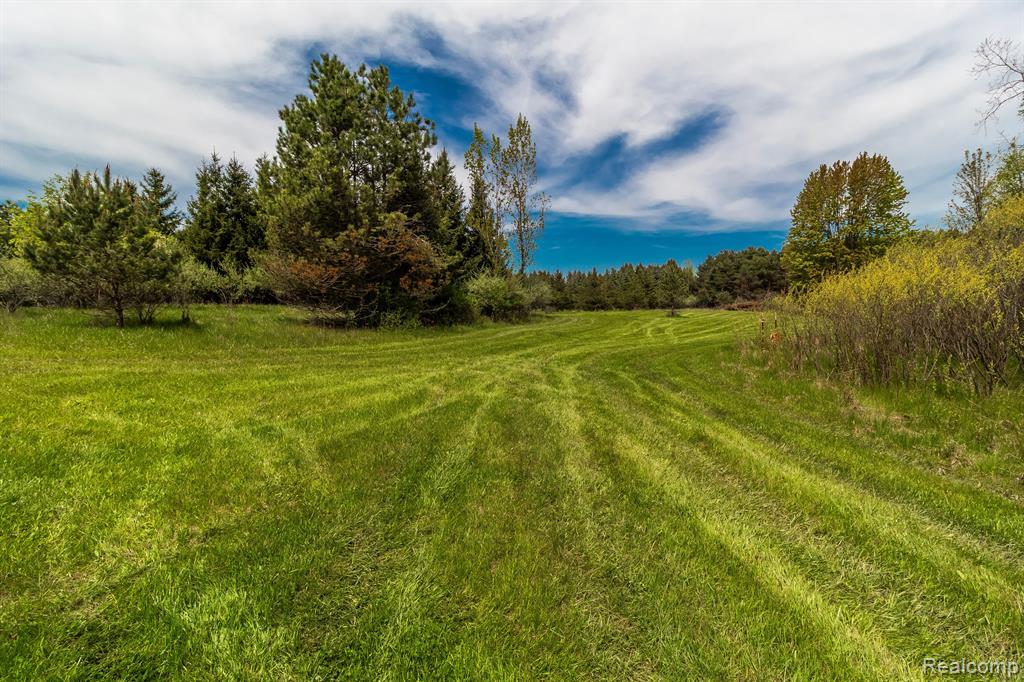 13926 IMLAY CITY Road, Mussey, MI 48014 — Photo 41