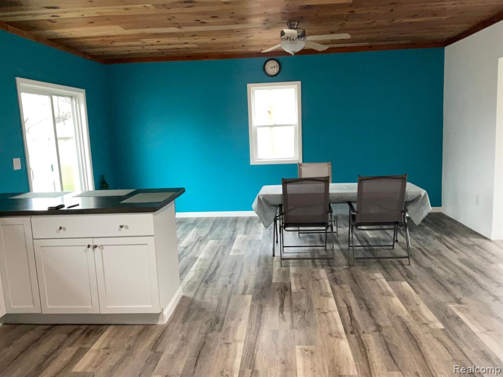 4594 SEEGER Street, Cass City, MI 48726 — Photo 5