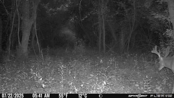 V/L BLAKE Road, Jackson, MI 49201 — Photo 6