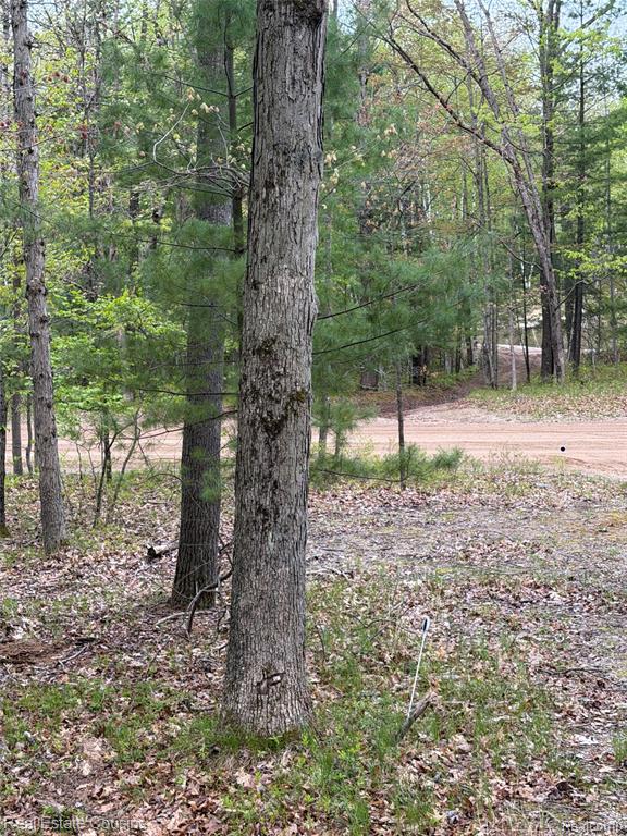 4701 Lake Road, Farwell, MI 48622 — Photo 21