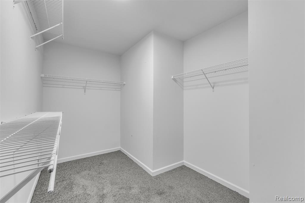 8553 Shiawassee River Drive, Fowlerville, MI 48836 — Photo 31
