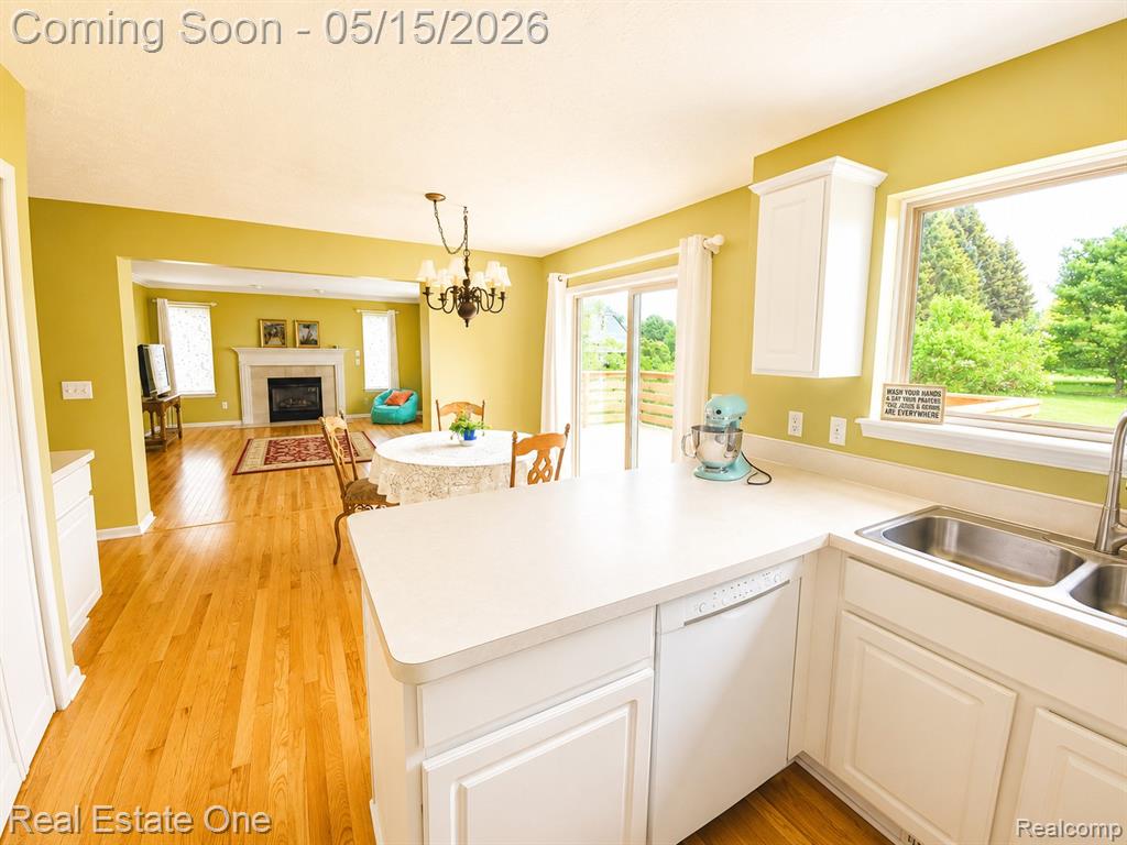6692 Goldwin Drive, Brighton, MI 48116 — Photo 8