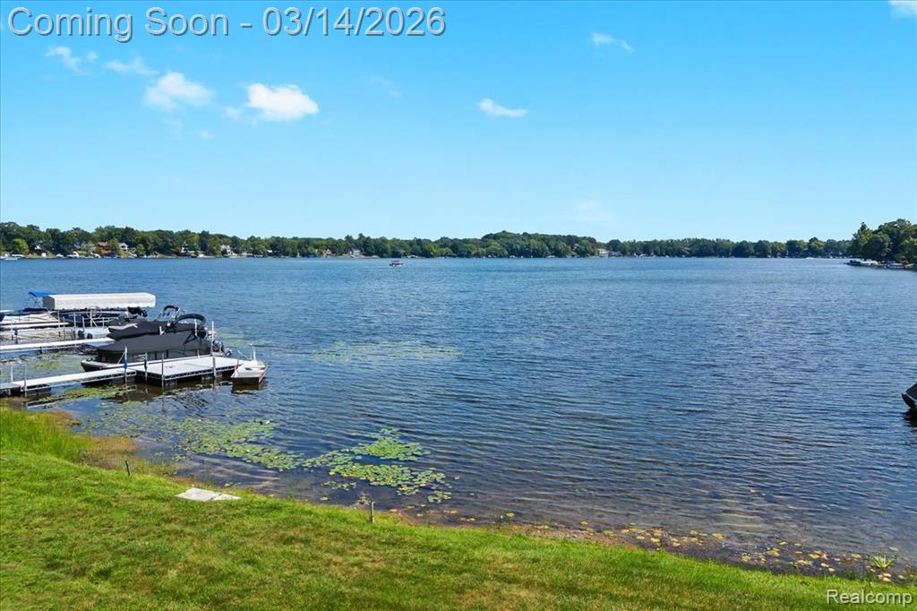 978 Ridge Court, Chelsea, MI 48118 — Photo 25