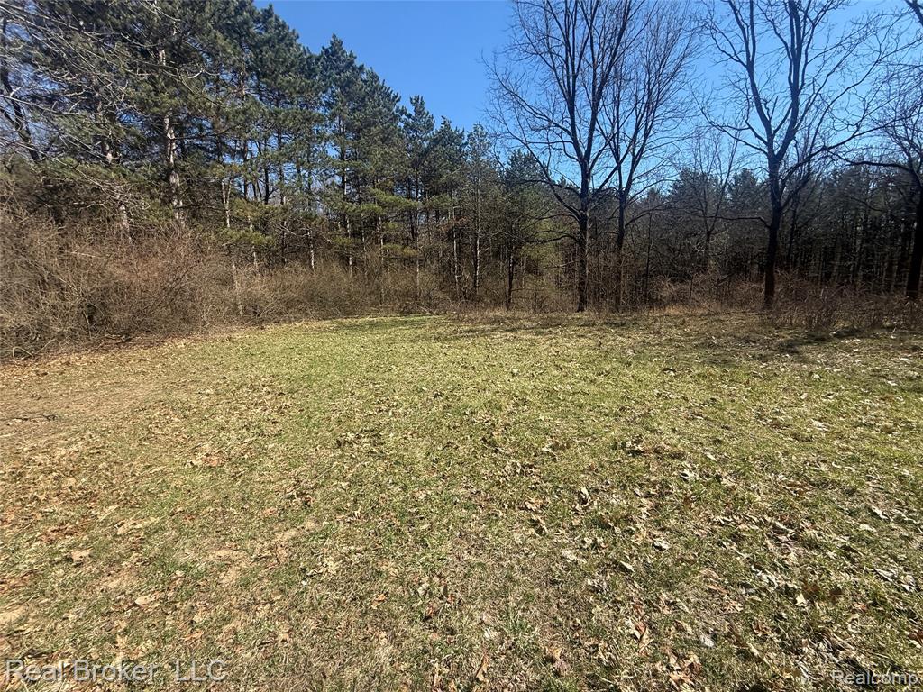 1802 N Elba Road, Lapeer, MI 48446 — Photo 56
