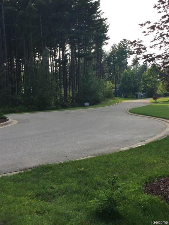 81 Mystic Pines Ct, Pinckney, MI 48169 — Photo 6
